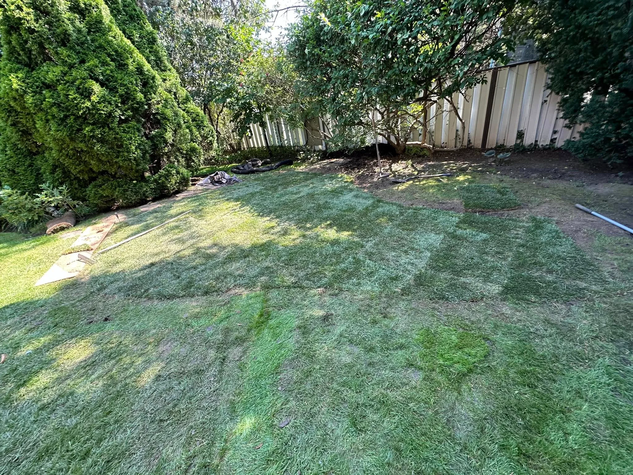 Lawn sodding installation in Mississauga by Lawn By Moe