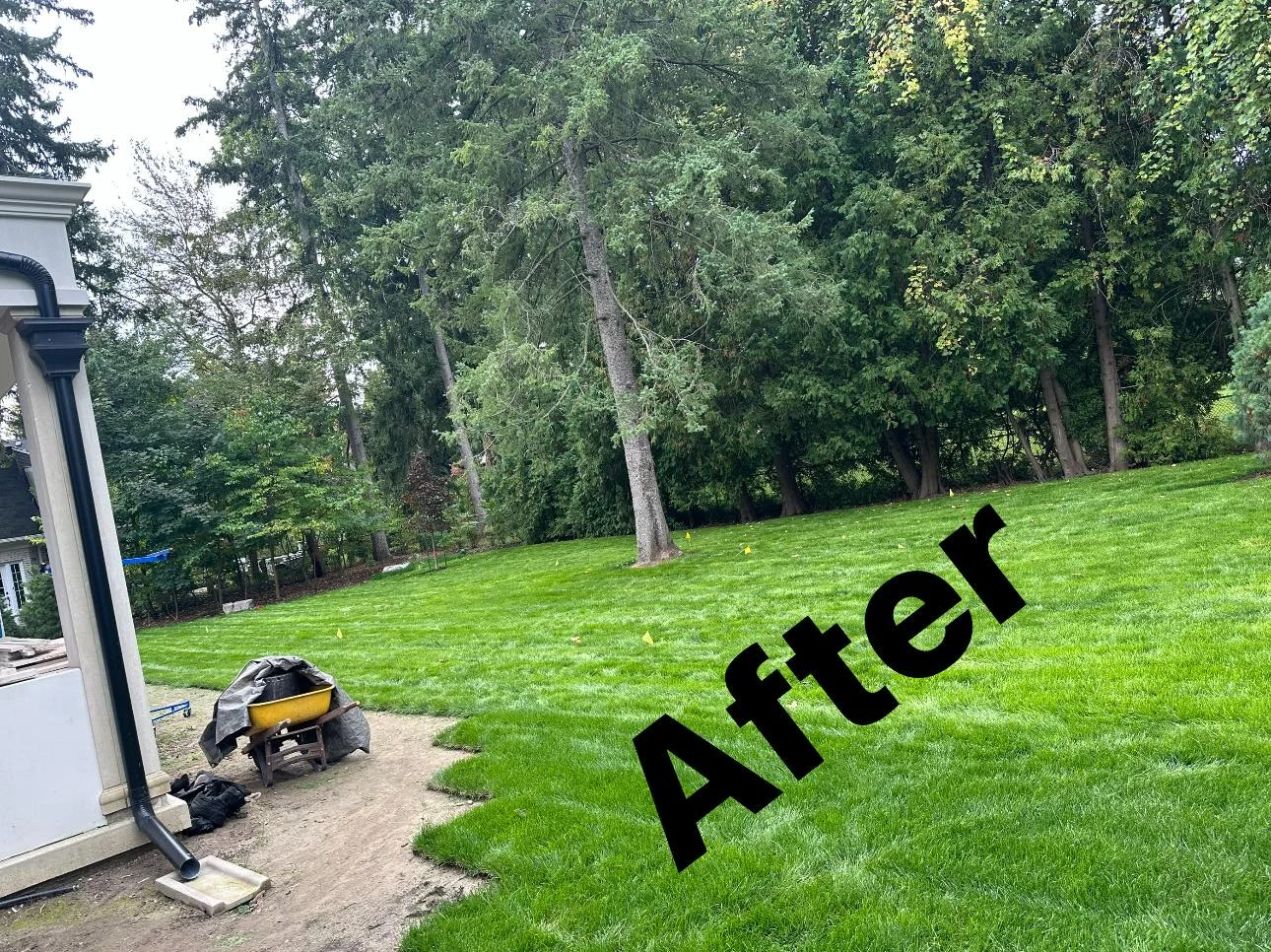 Lawn maintenance and garden care in Oakville GTA