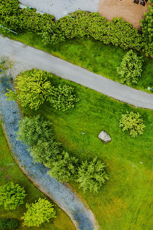 Design & Planting