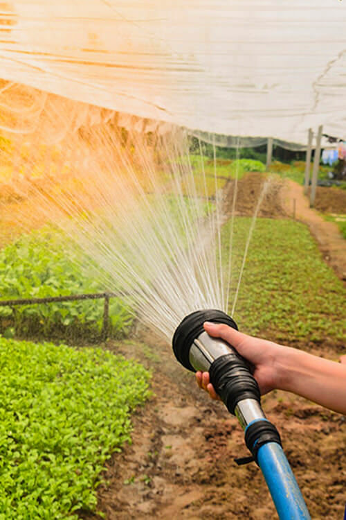 Lawn & Garden Care